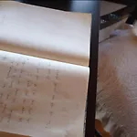 Panorama 公寓